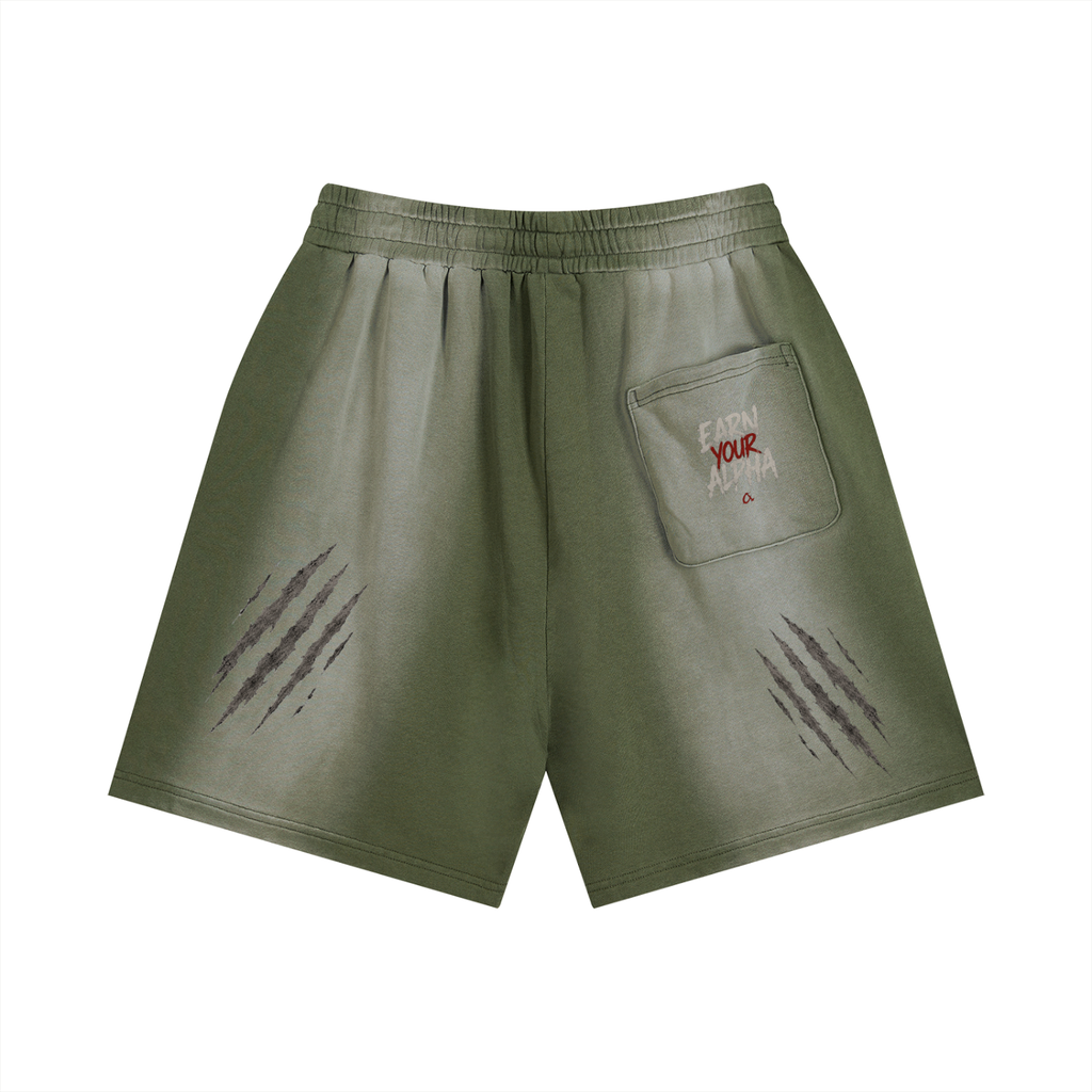 Sun Fade Distressed Shorts