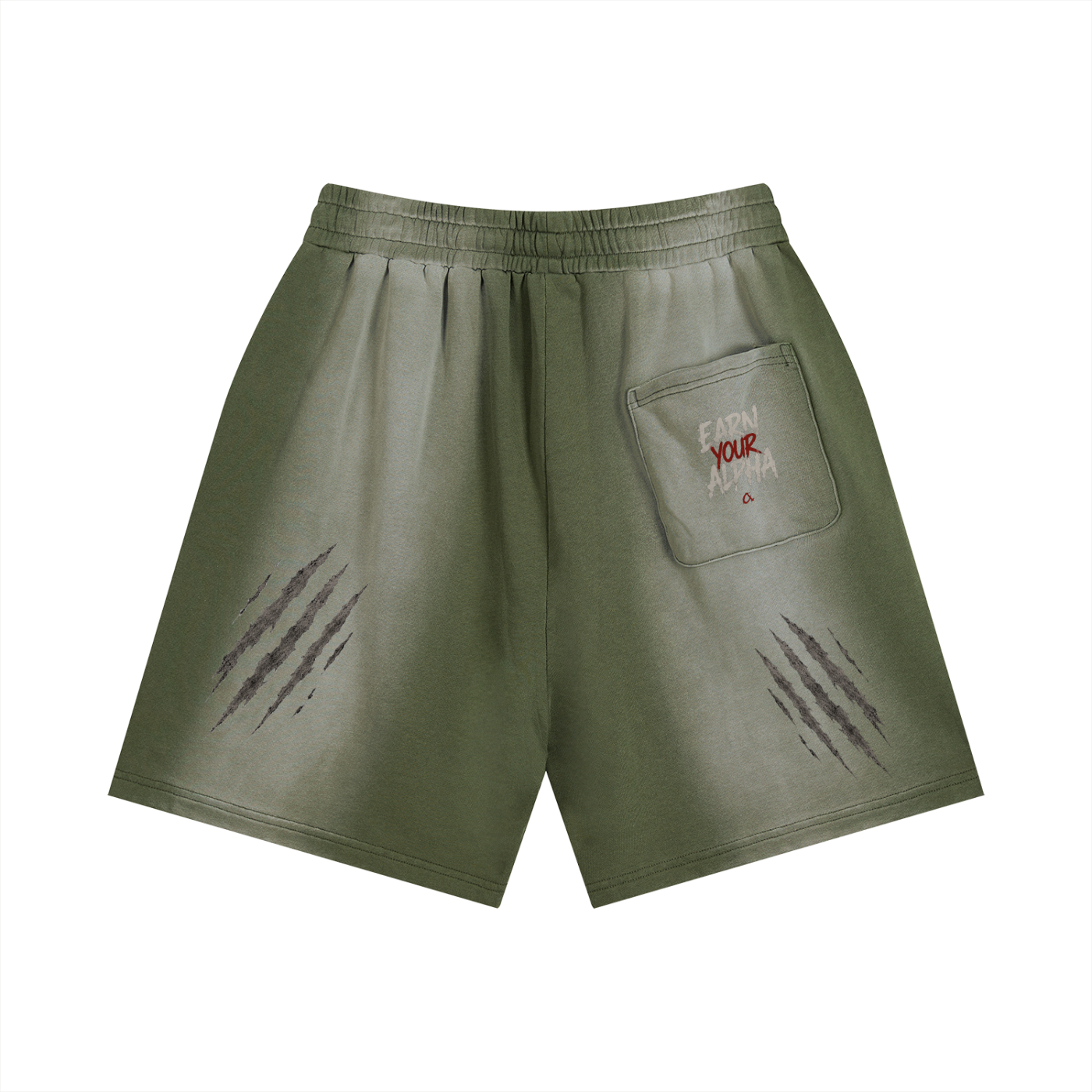 Sun Fade Distressed Shorts