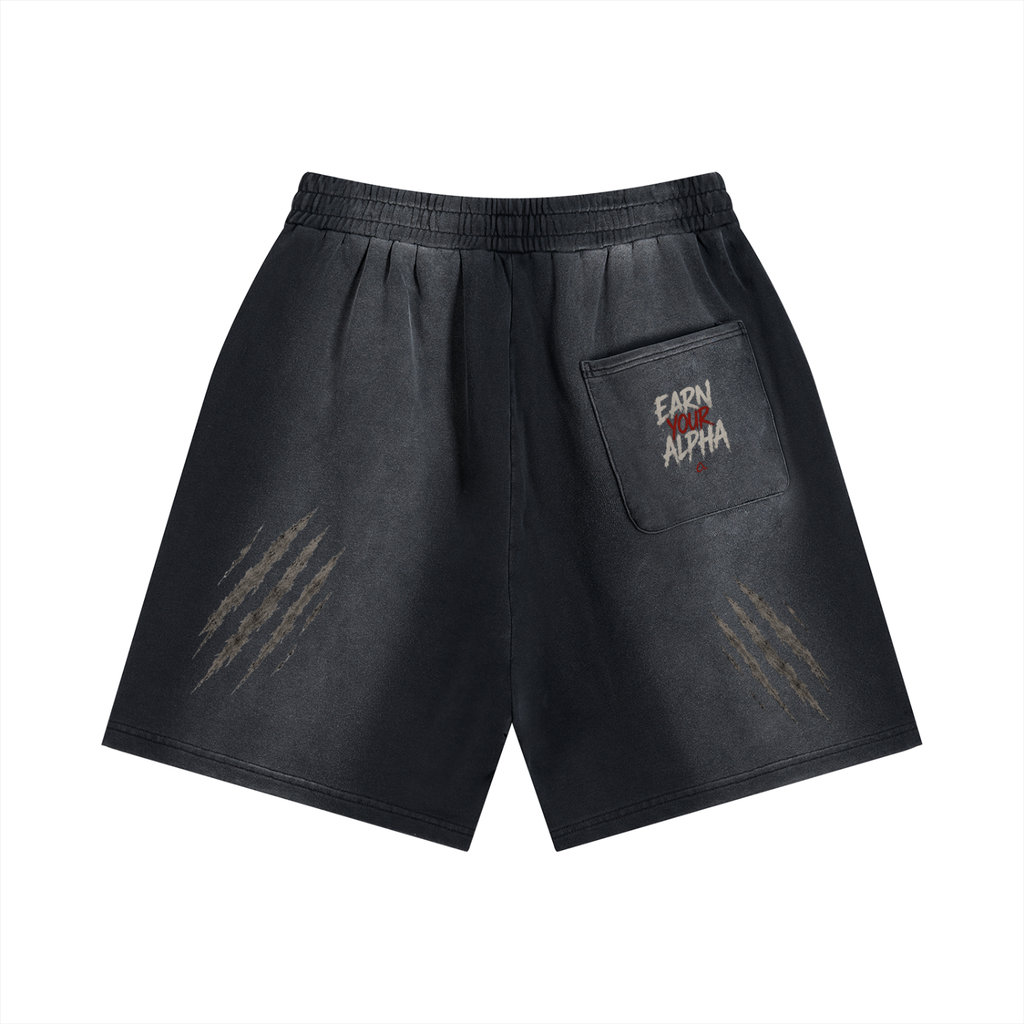 Sun Fade Distressed Shorts