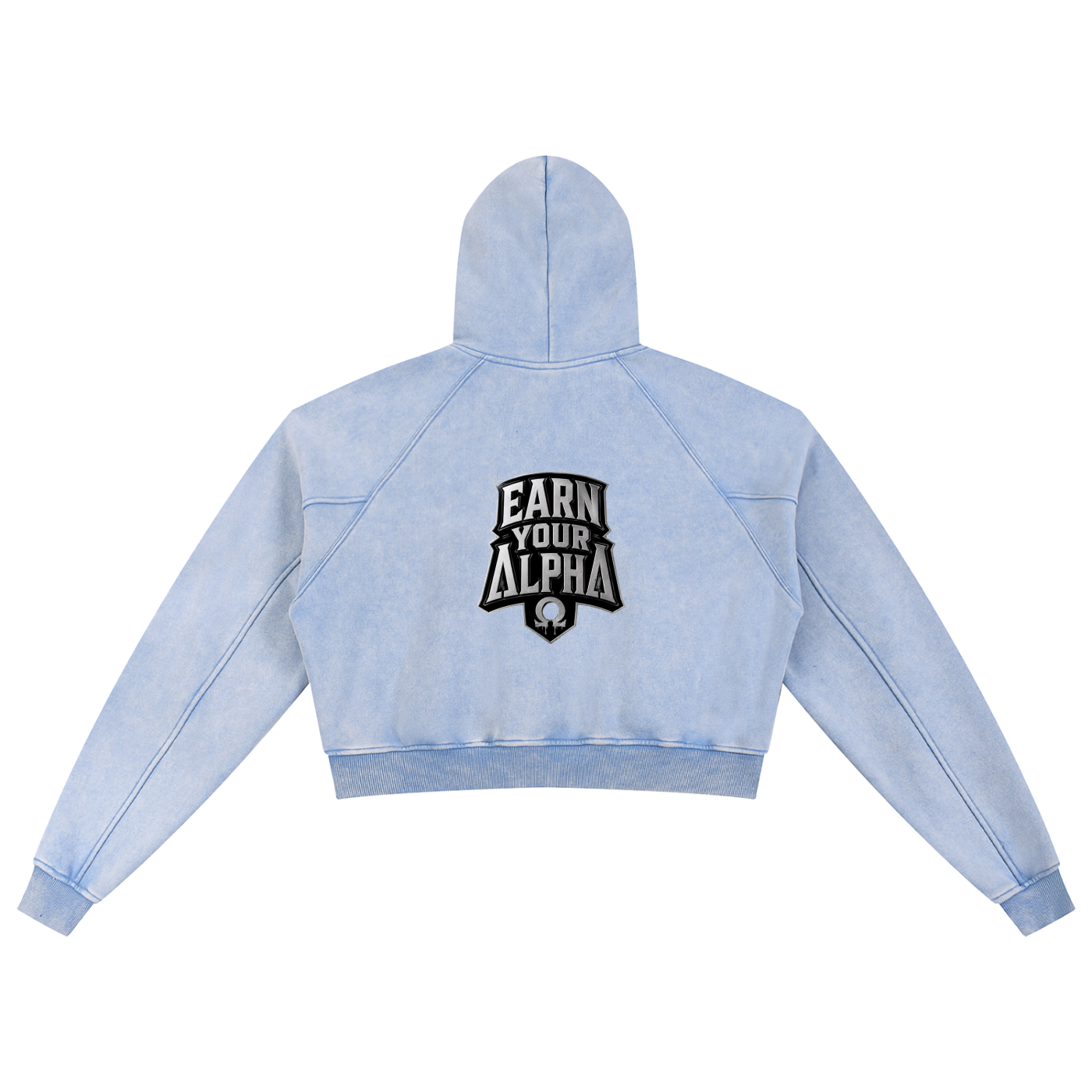 Snow Washed Cropped Hoodie