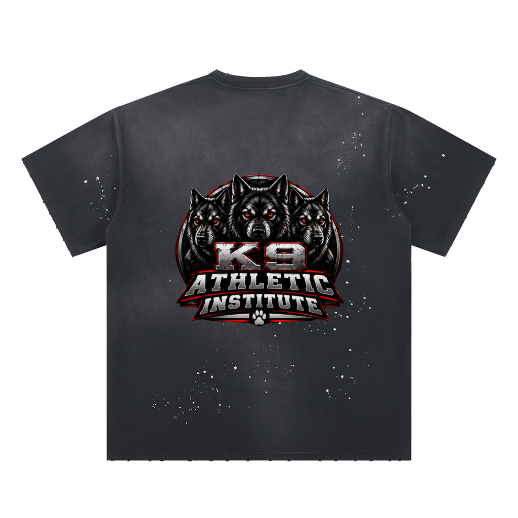 Hand-Frayed Sunfade Paint Splatter T-Shirt