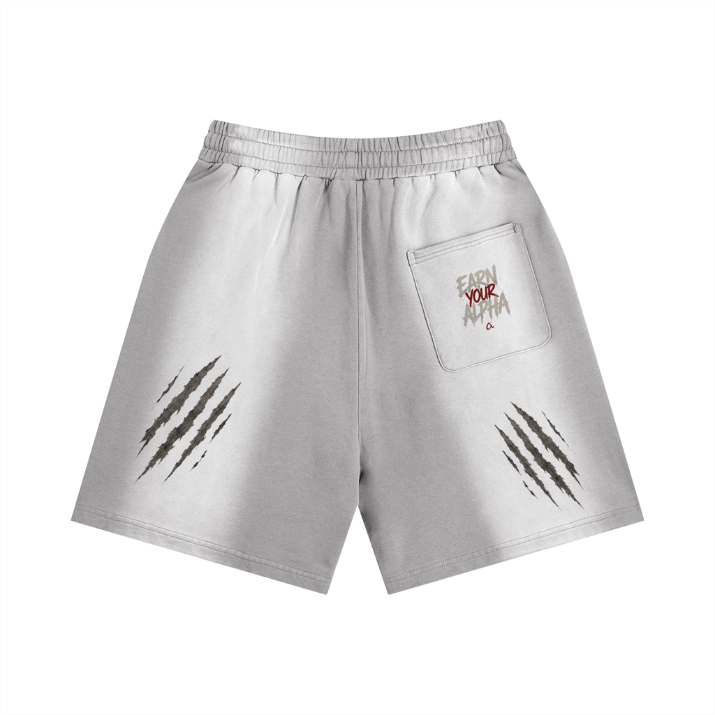 Sun Fade Distressed Shorts