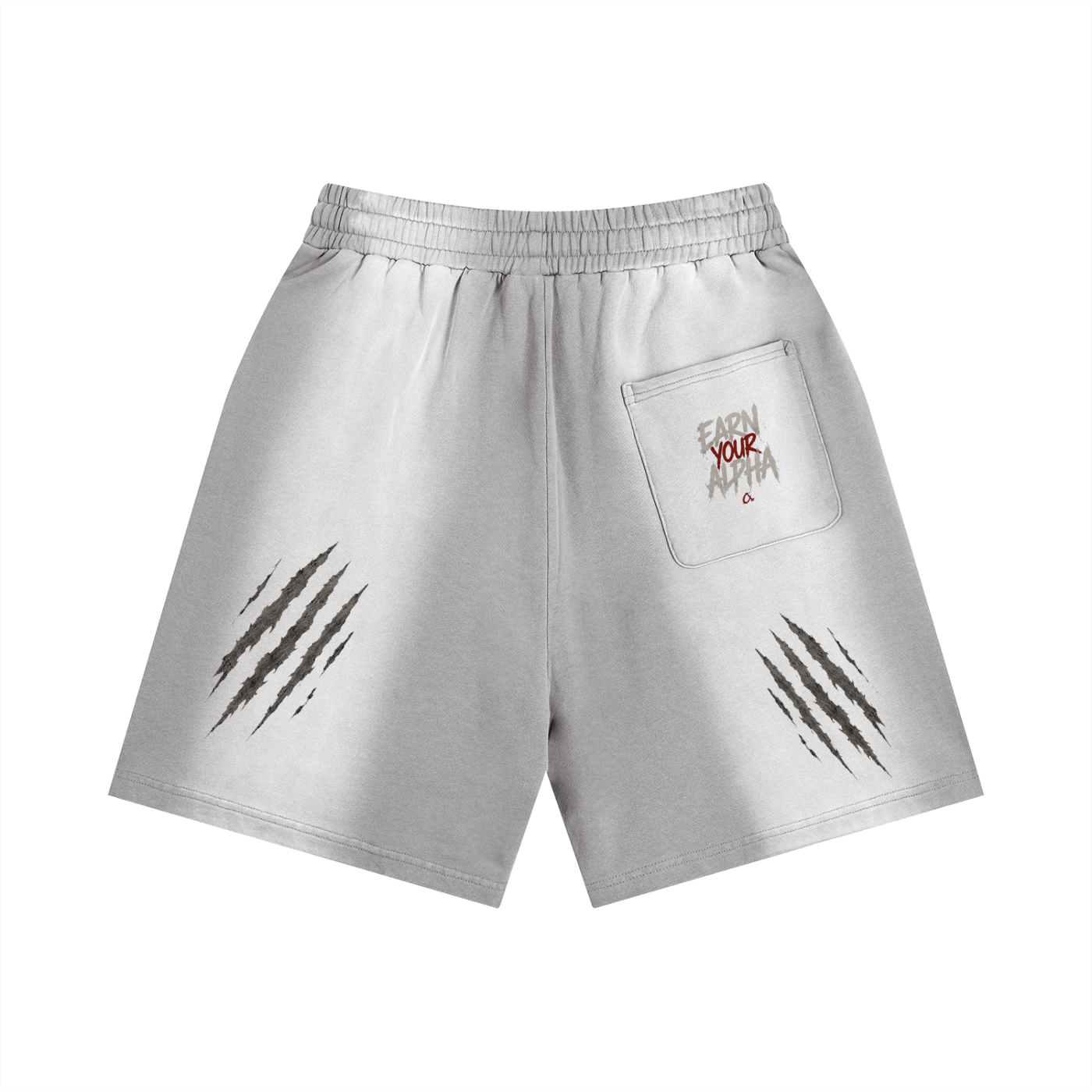 Sun Fade Distressed Shorts