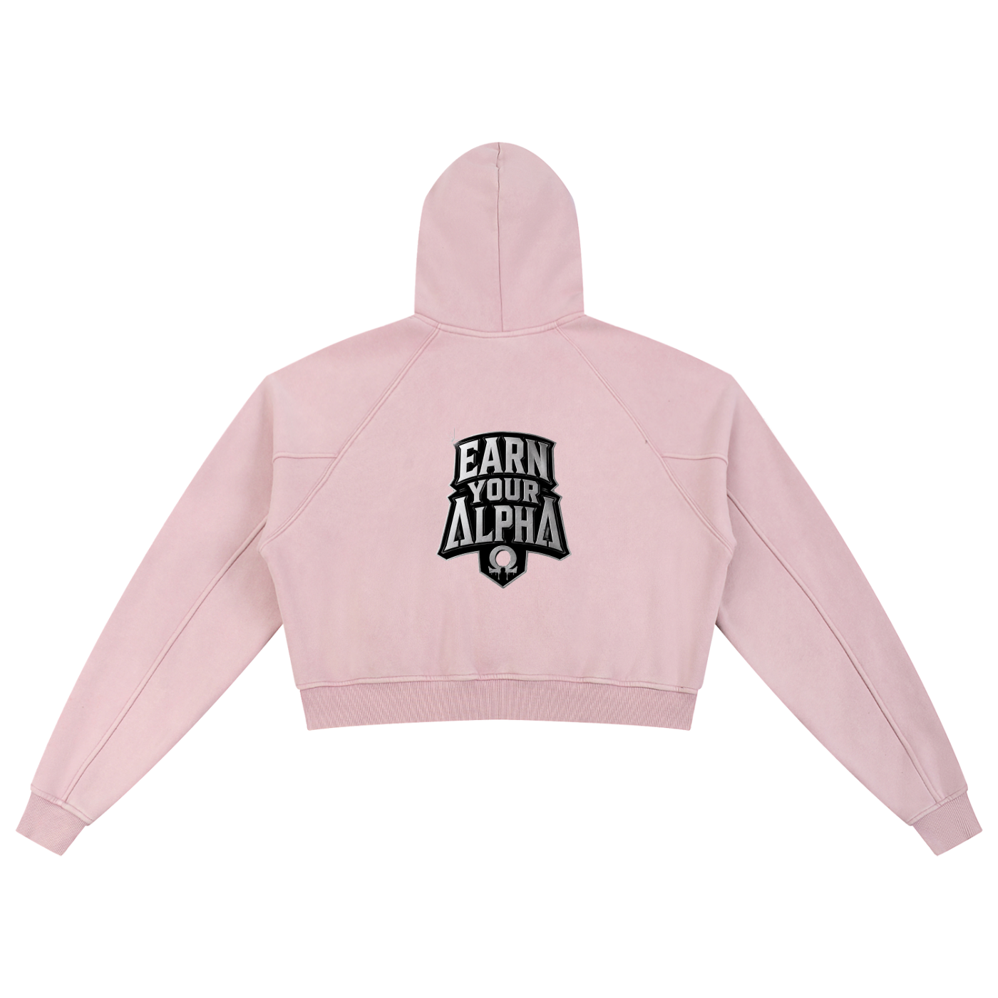Snow Washed Cropped Hoodie