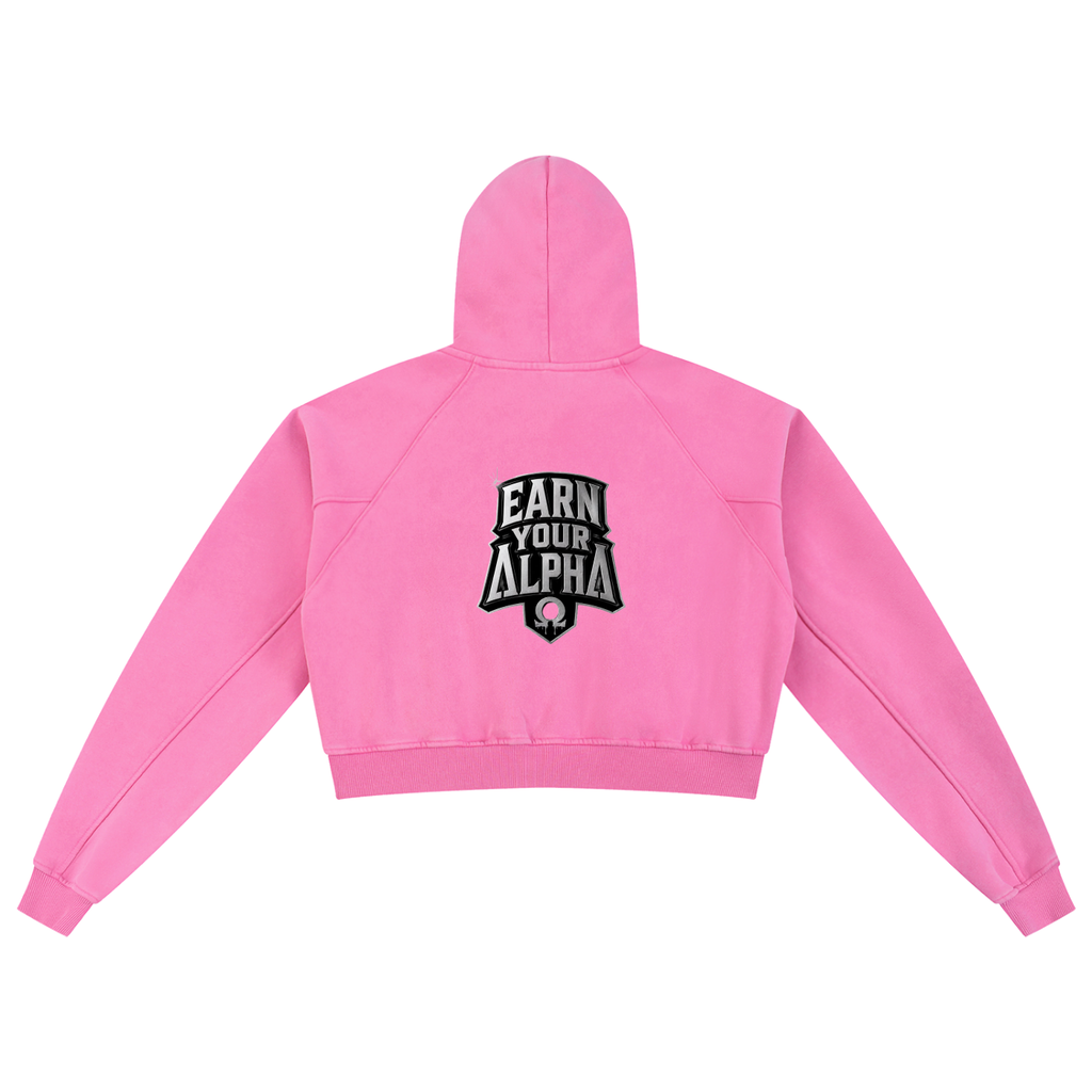 Snow Washed Cropped Hoodie